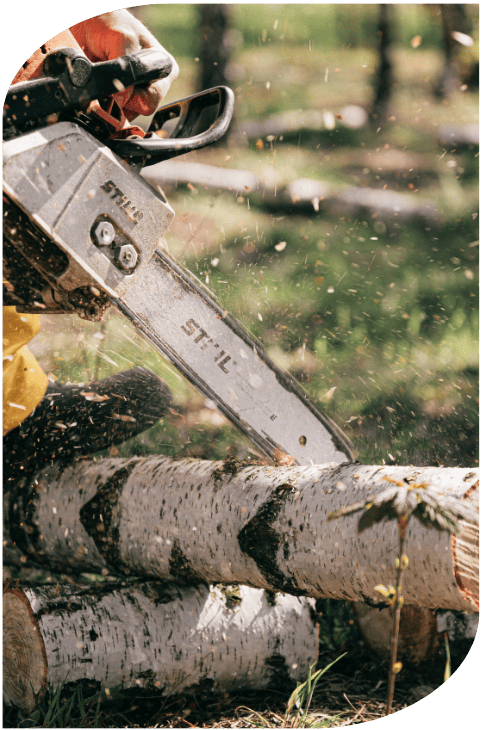 tronçonneuse